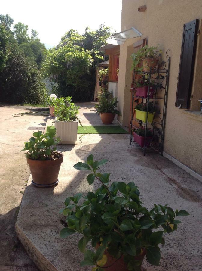 Charmant Appartement 2 Pieces Eccica-Suarella  Exterior foto